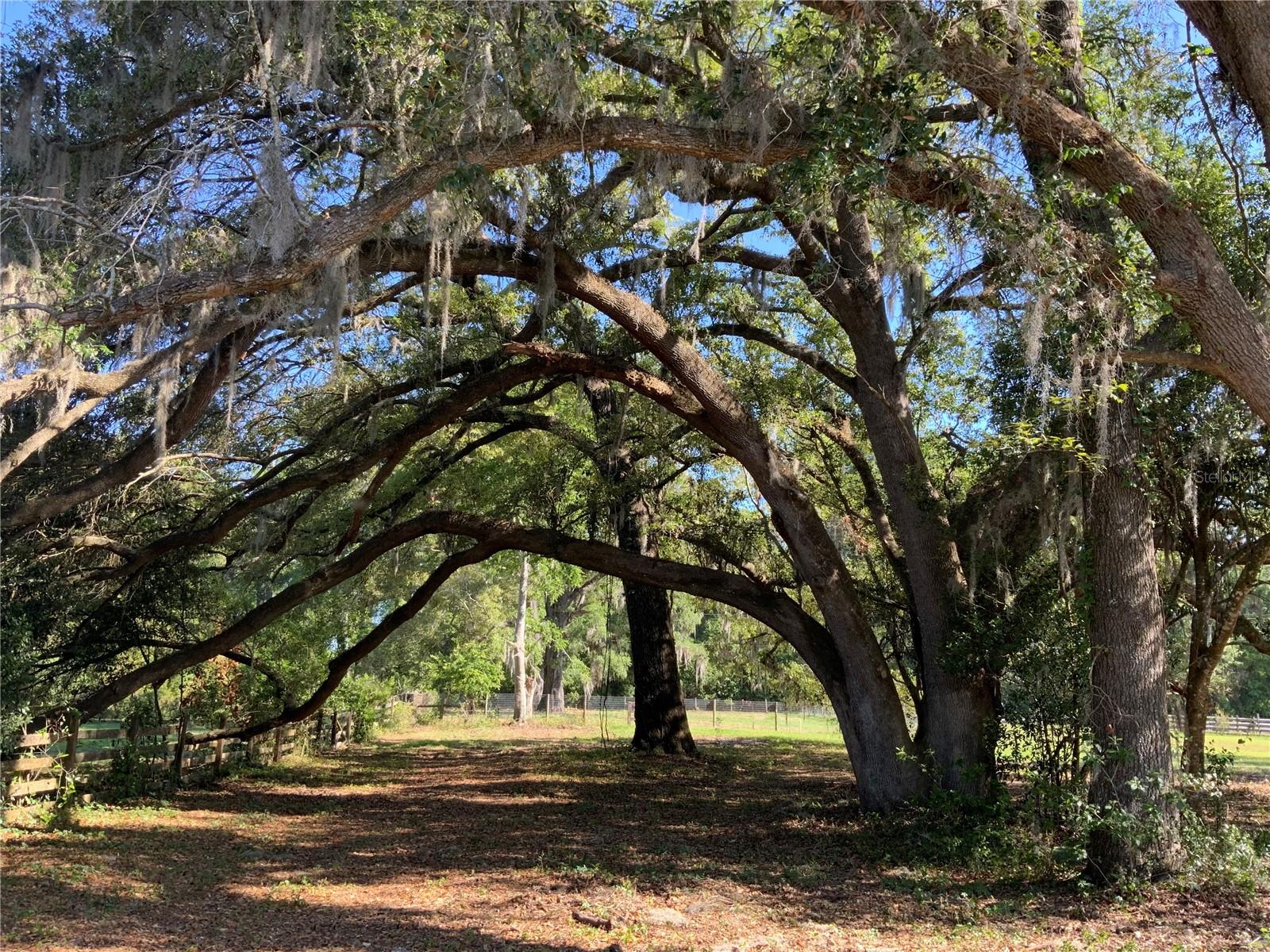 10919 NW 202ND ST, ALACHUA, FL, 32615