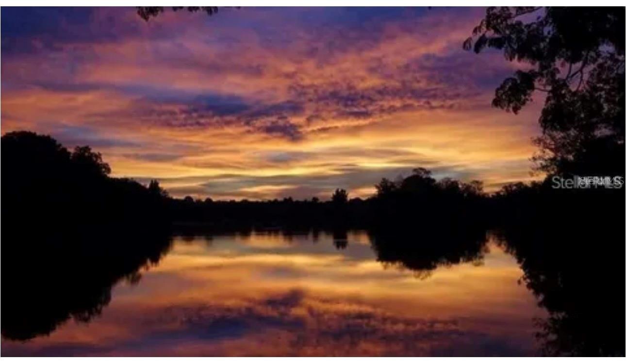 1326 CORNER OAKS DR, BRANDON, FL, 33510