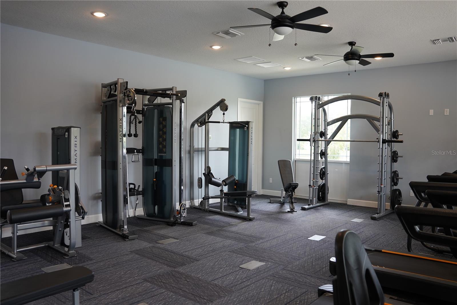 16436 WINDING PRESERVE CIR, CLERMONT, FL, 34714