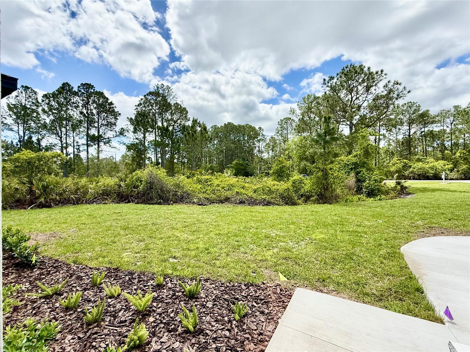 30165 W BLUEBELL AVE, EUSTIS, FL, 32736