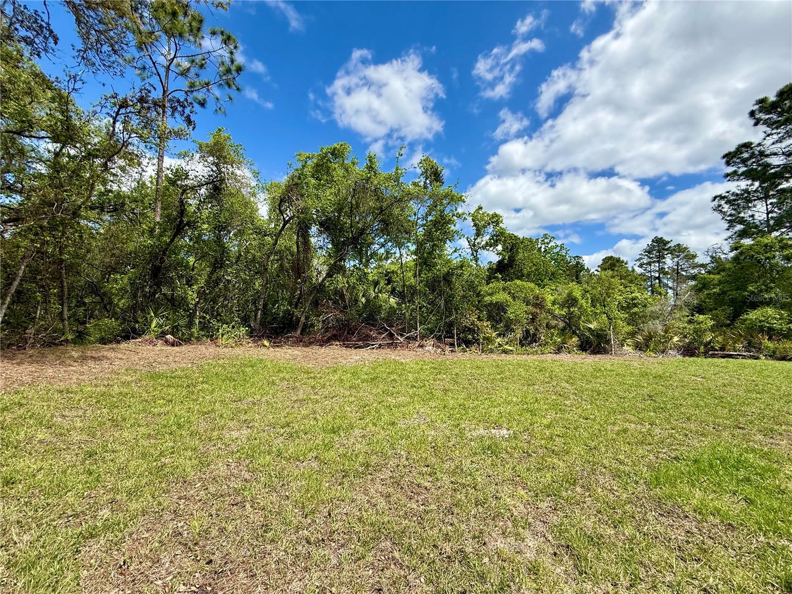 30165 W BLUEBELL AVE, EUSTIS, FL, 32736