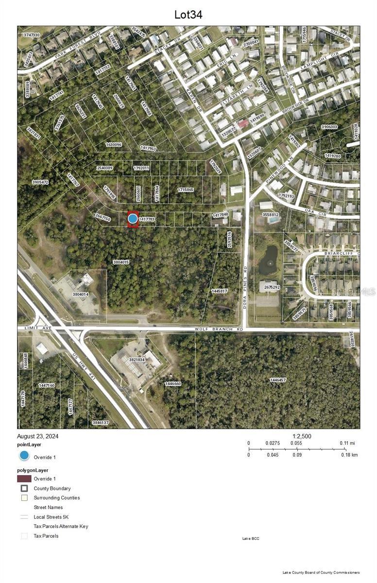 Lot 34 WOLF BRANCH RD, MOUNT DORA, FL, 32757