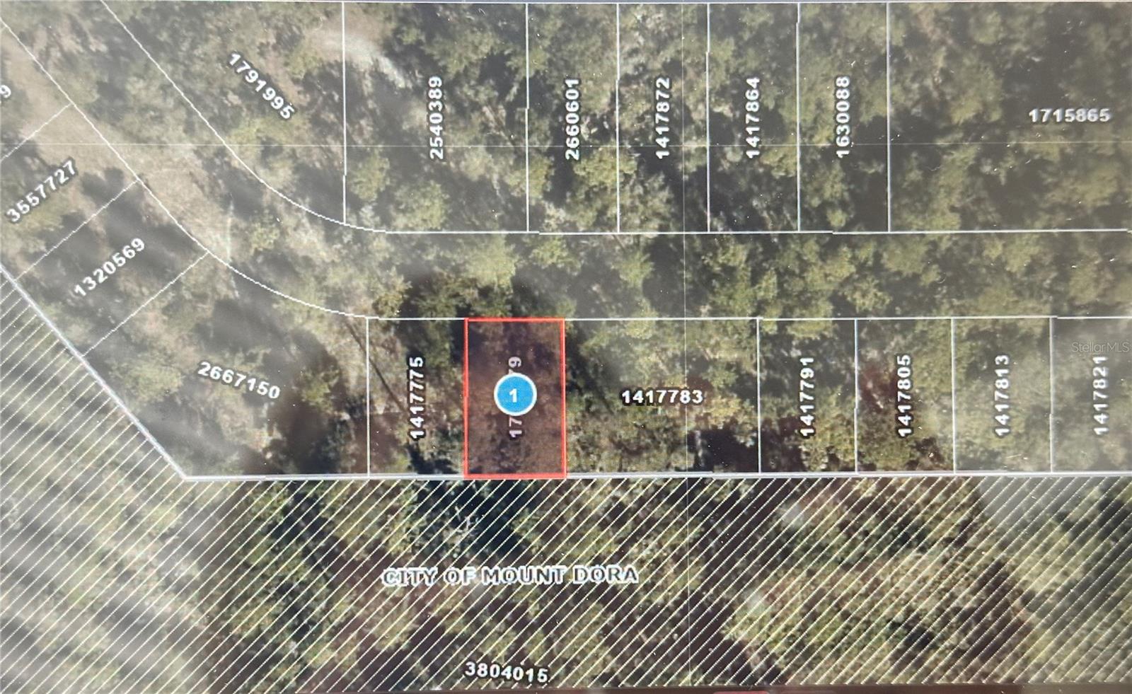 Lot 34 WOLF BRANCH RD, MOUNT DORA, FL, 32757