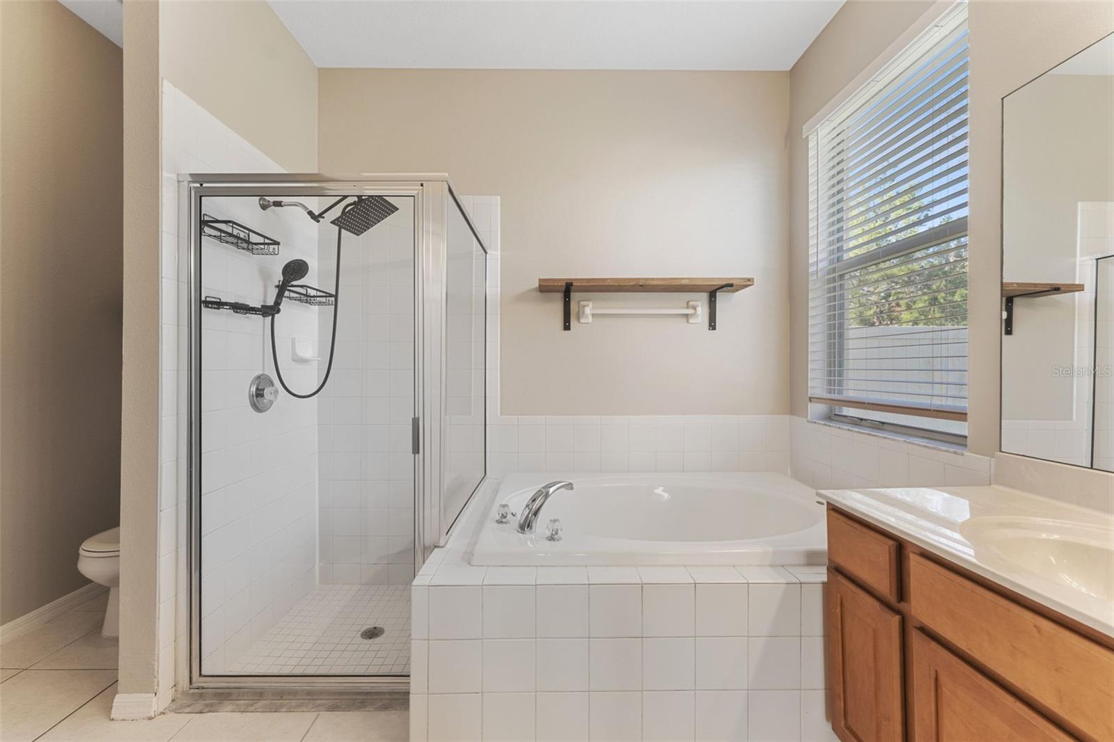 3031 DOWNAN POINT DR, LAND O LAKES, FL, 34638