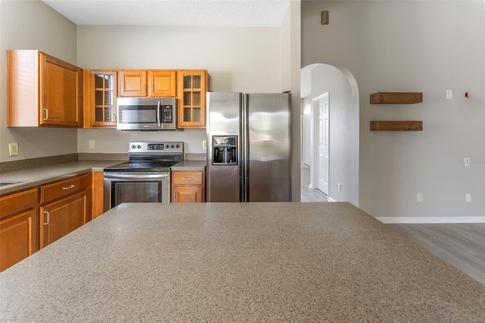 3031 DOWNAN POINT DR, LAND O LAKES, FL, 34638