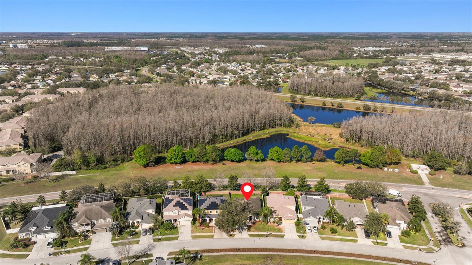 3031 DOWNAN POINT DR, LAND O LAKES, FL, 34638