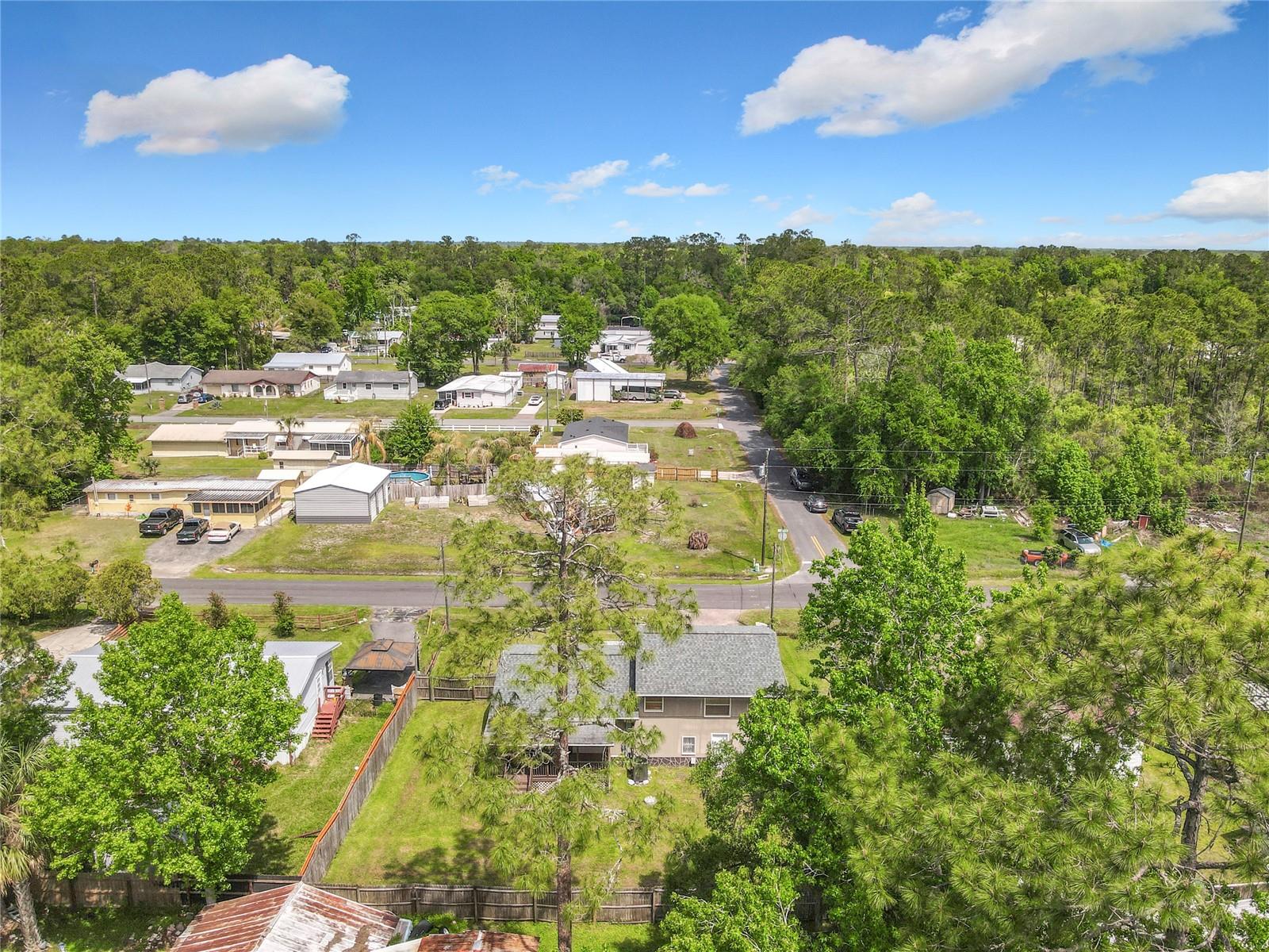 24046 BOBCAT RD, ASTOR, FL, 32102