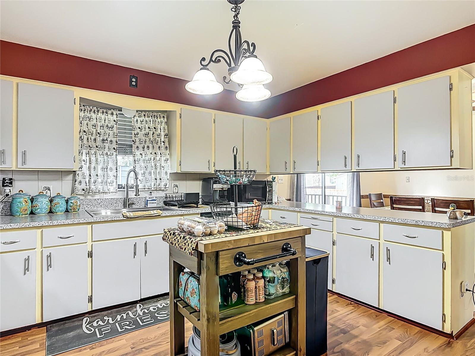 24046 BOBCAT RD, ASTOR, FL, 32102