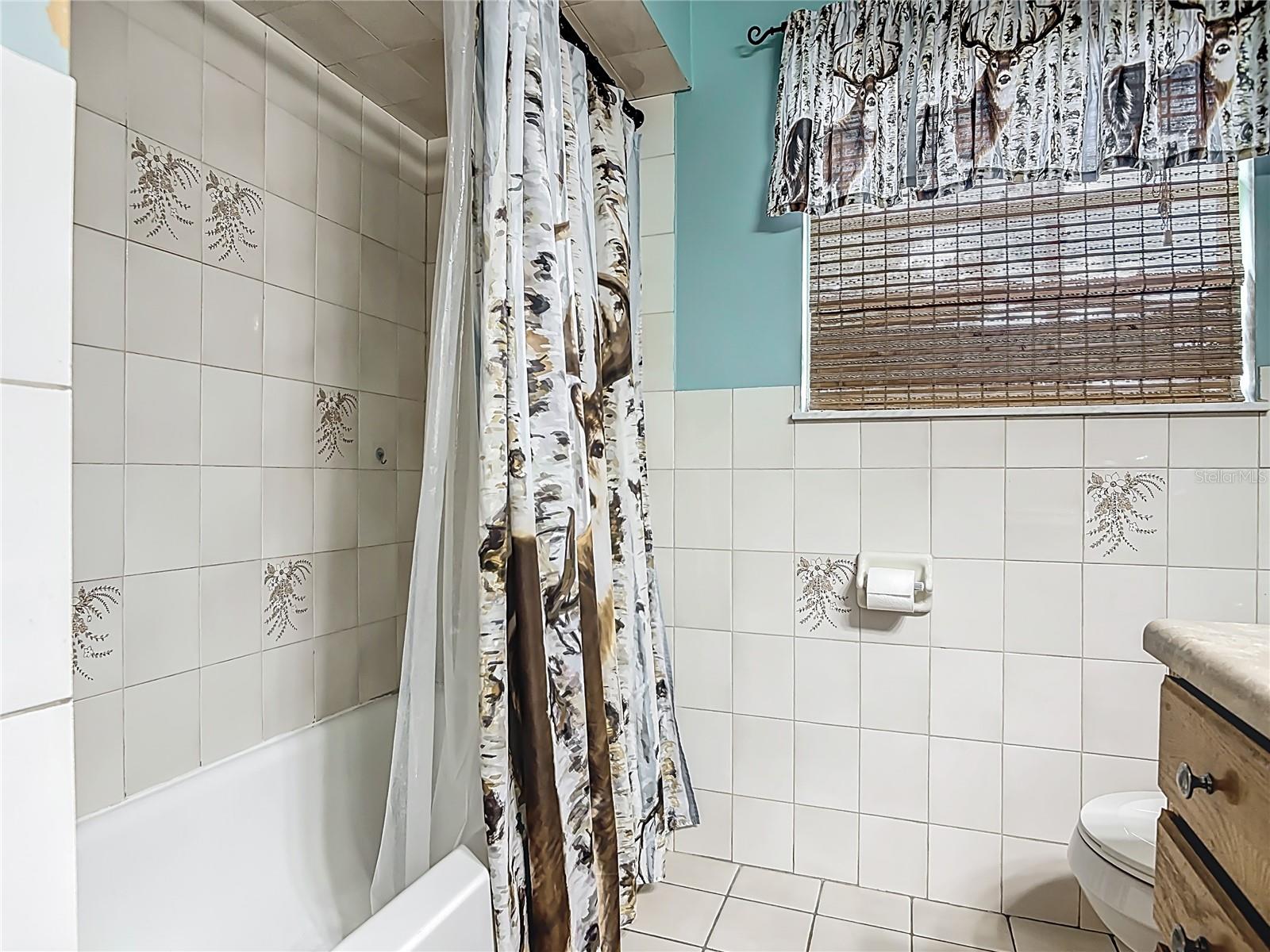 24046 BOBCAT RD, ASTOR, FL, 32102