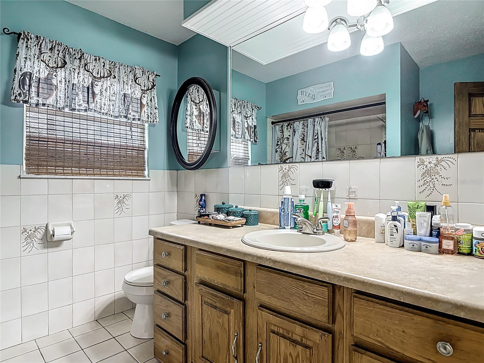 24046 BOBCAT RD, ASTOR, FL, 32102