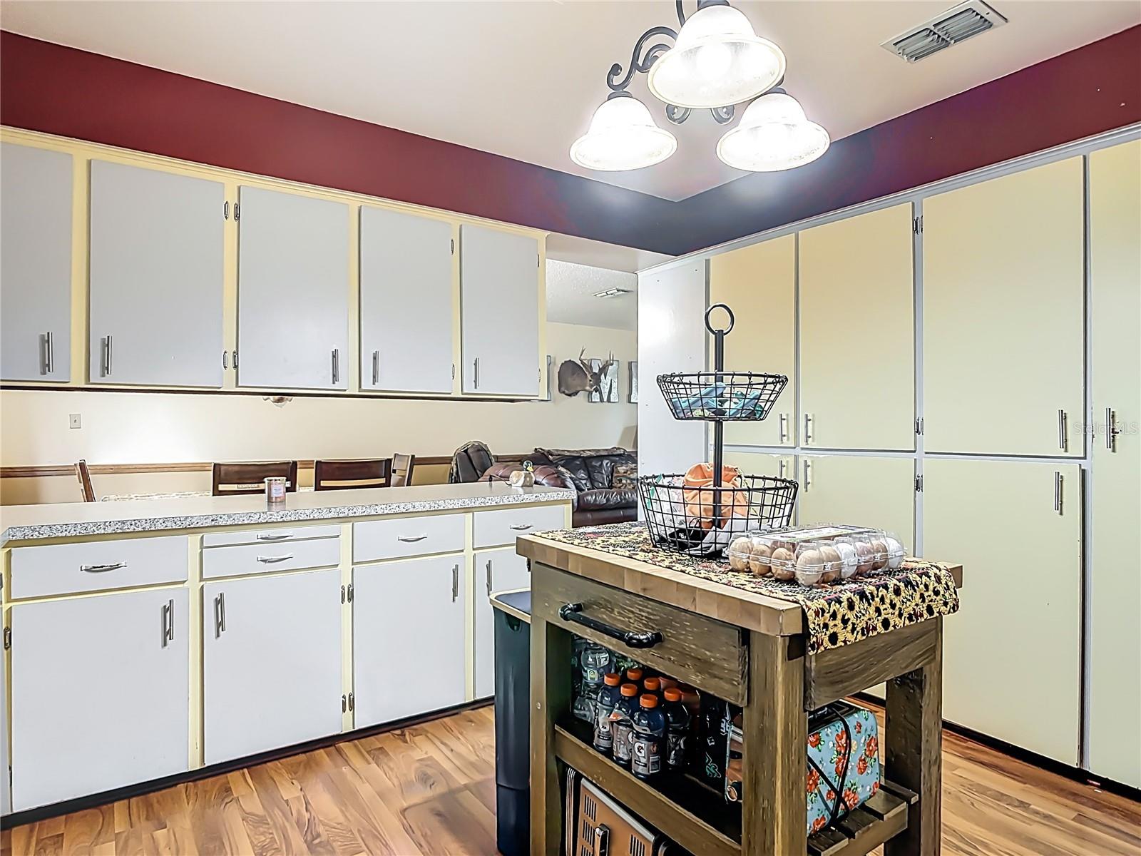 24046 BOBCAT RD, ASTOR, FL, 32102