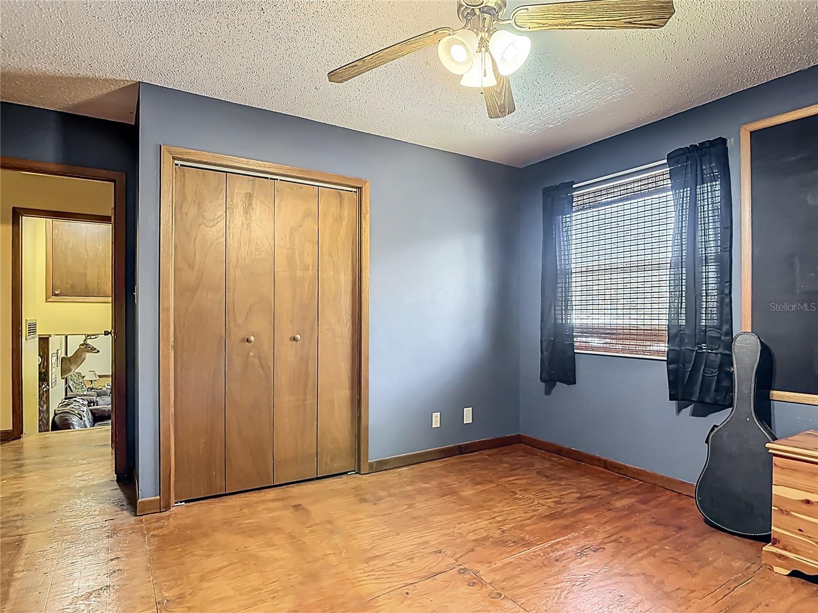 24046 BOBCAT RD, ASTOR, FL, 32102
