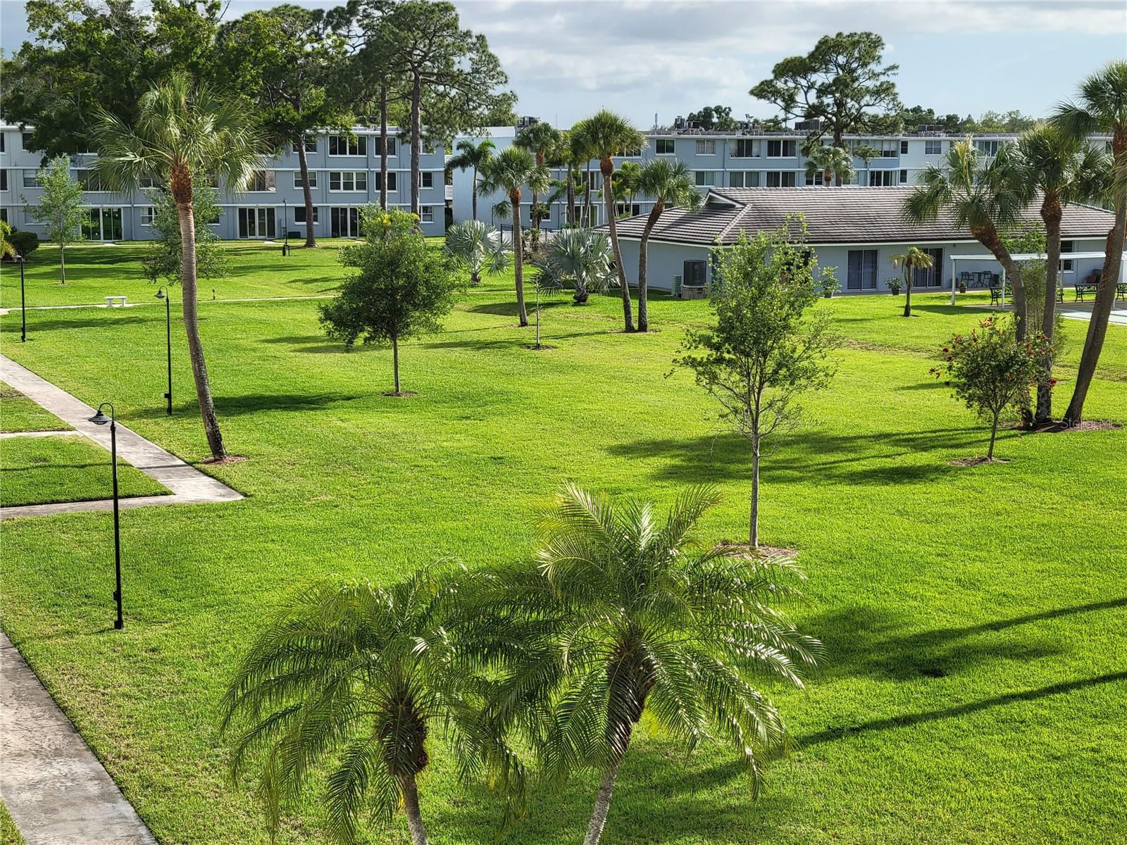 4715 BAY ST NE #225, ST PETERSBURG, FL, 33703