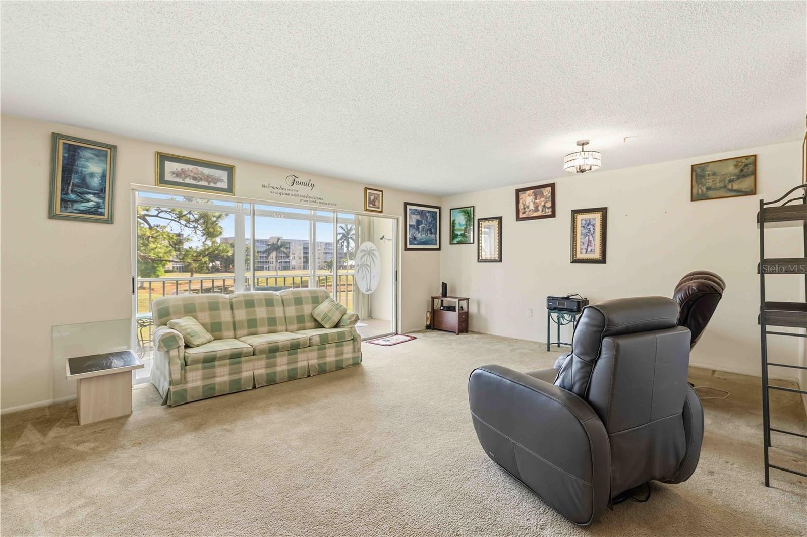 3680 IRONWOOD CIR #202L, BRADENTON, FL, 34209
