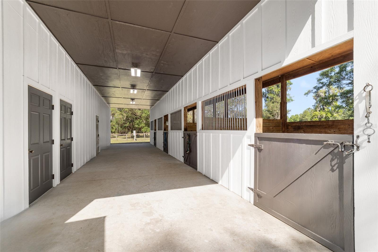 20005 NW 135TH AVE, MICANOPY, FL, 32667