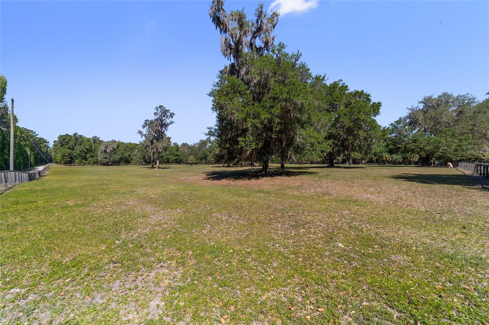 20005 NW 135TH AVE, MICANOPY, FL, 32667
