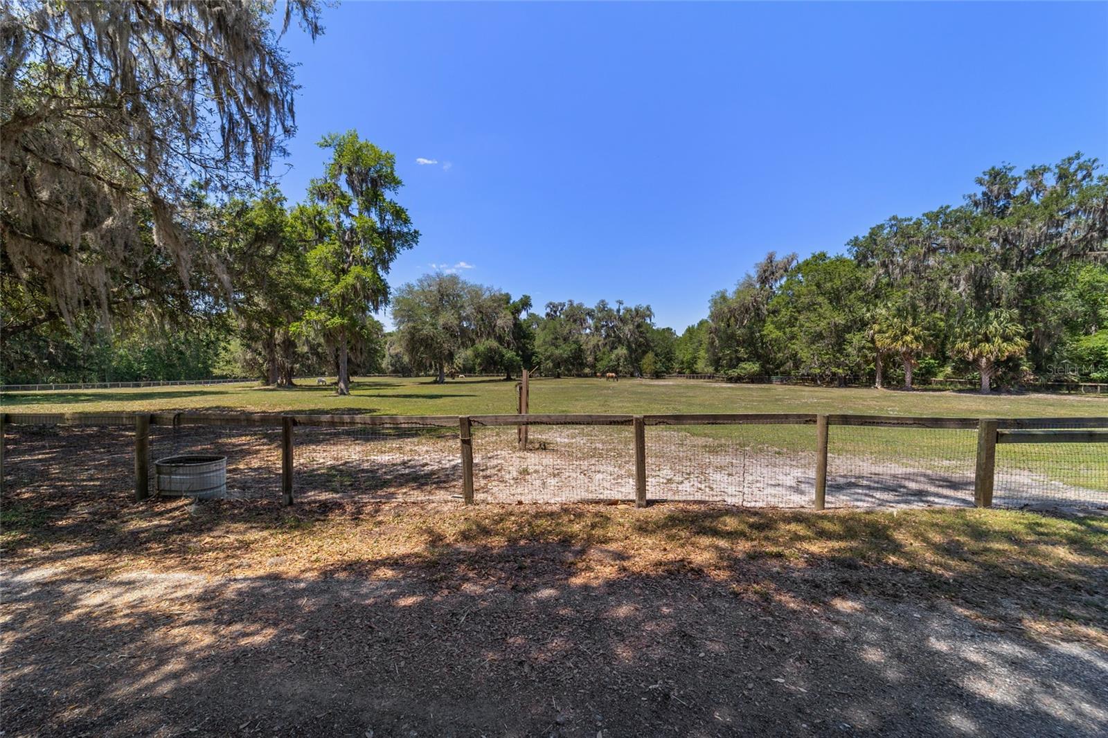 20005 NW 135TH AVE, MICANOPY, FL, 32667