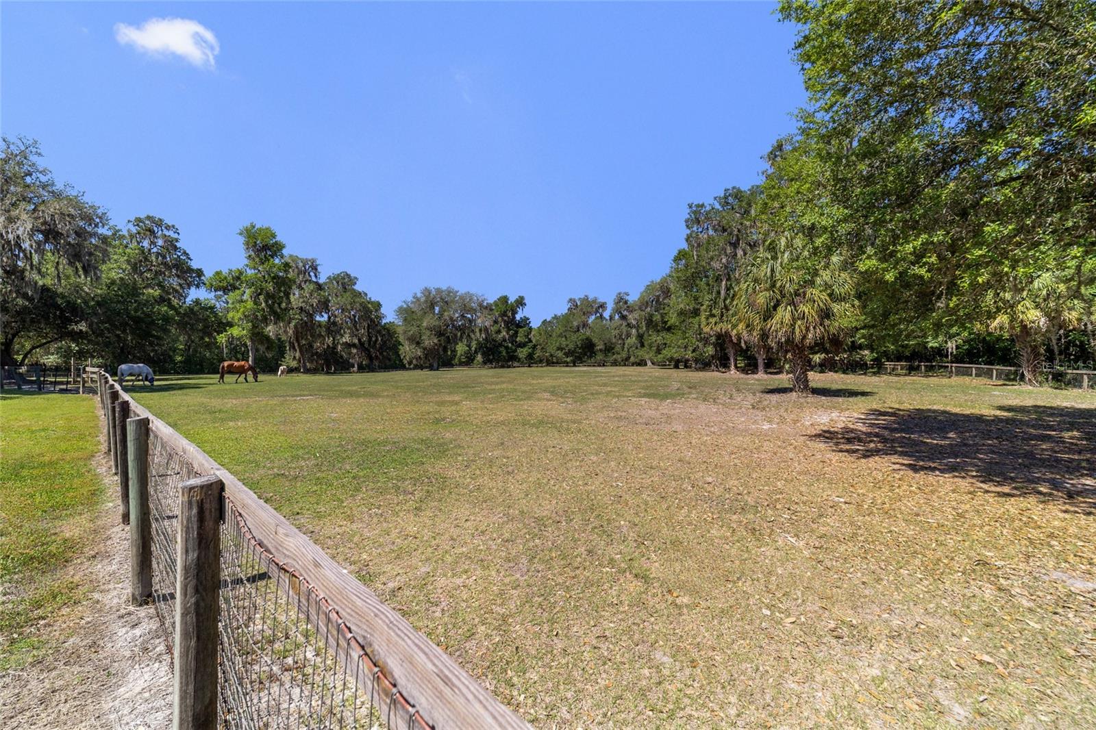 20005 NW 135TH AVE, MICANOPY, FL, 32667