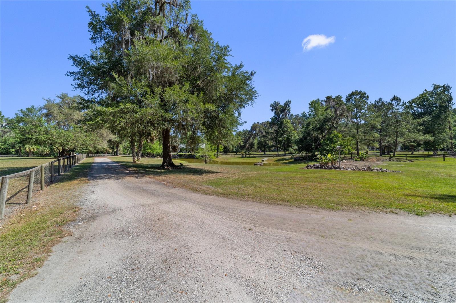 20005 NW 135TH AVE, MICANOPY, FL, 32667