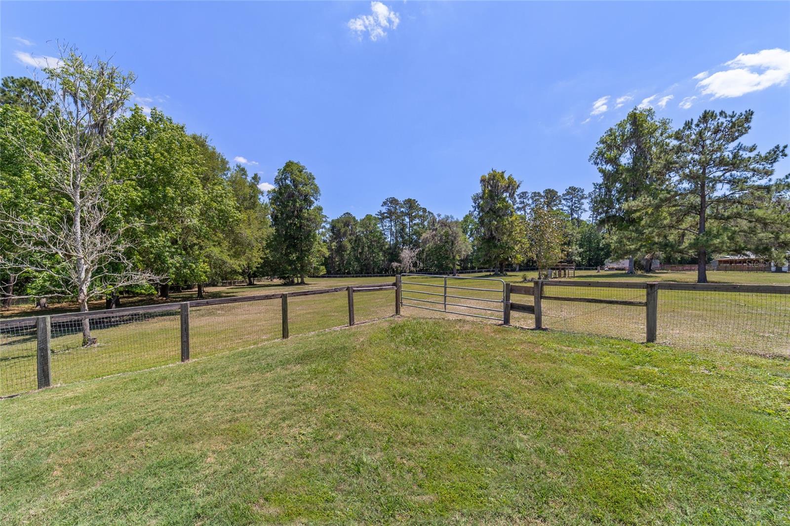20005 NW 135TH AVE, MICANOPY, FL, 32667