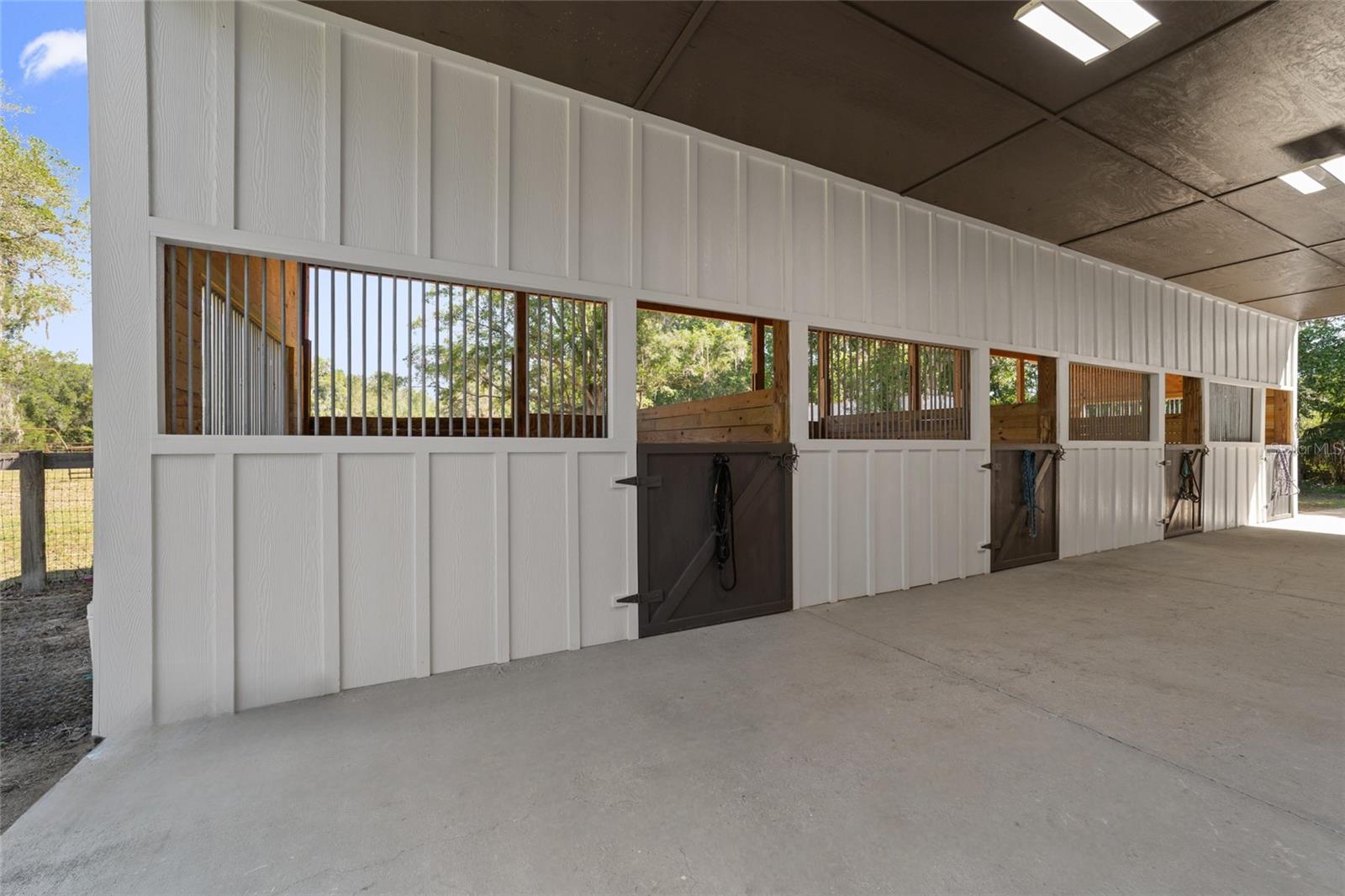 20005 NW 135TH AVE, MICANOPY, FL, 32667