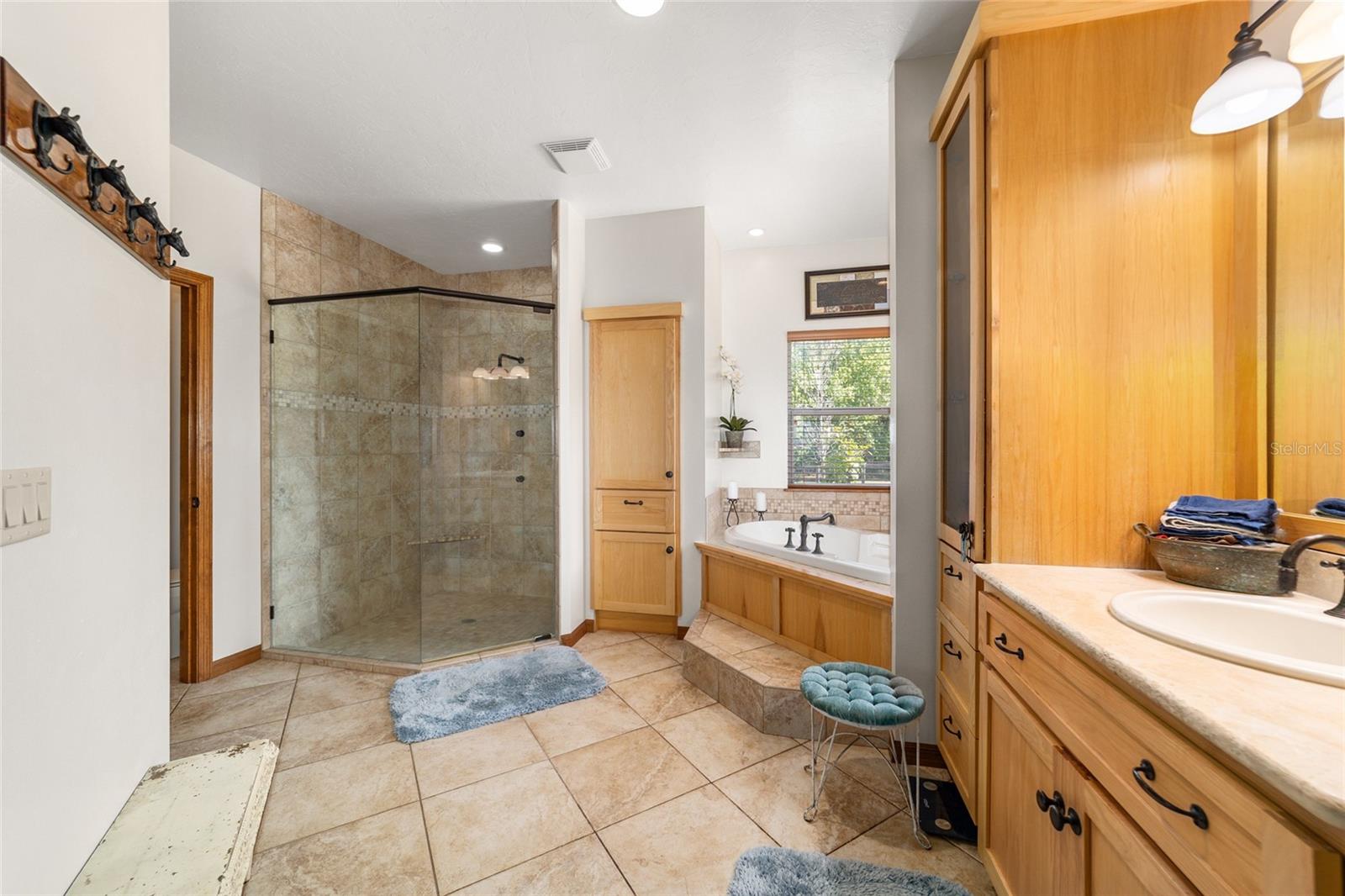 20005 NW 135TH AVE, MICANOPY, FL, 32667