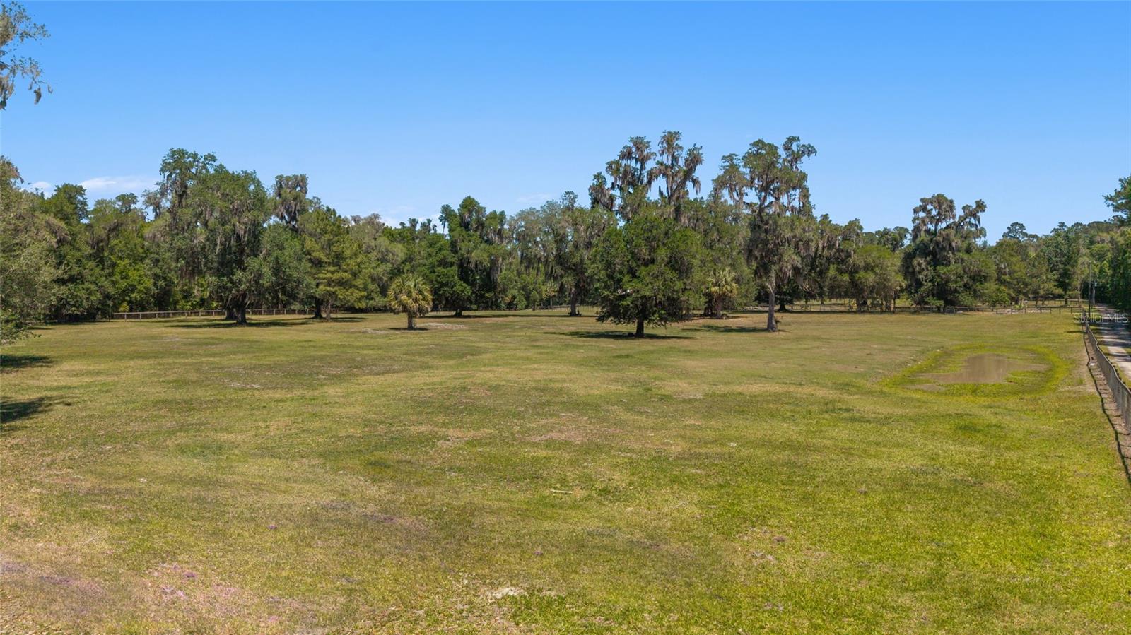 20005 NW 135TH AVE, MICANOPY, FL, 32667