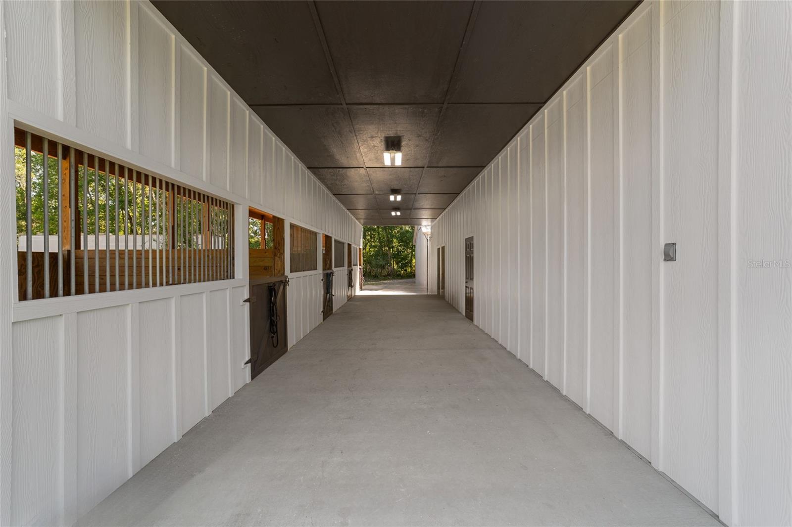 20005 NW 135TH AVE, MICANOPY, FL, 32667