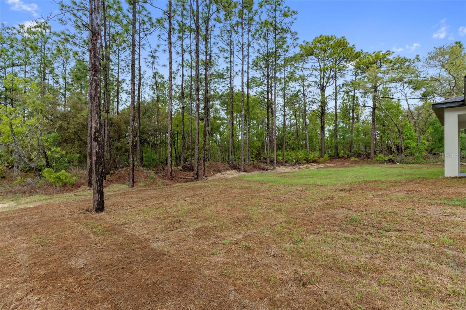 7164 N DUSTIN TER N, CITRUS SPRINGS, FL, 34434