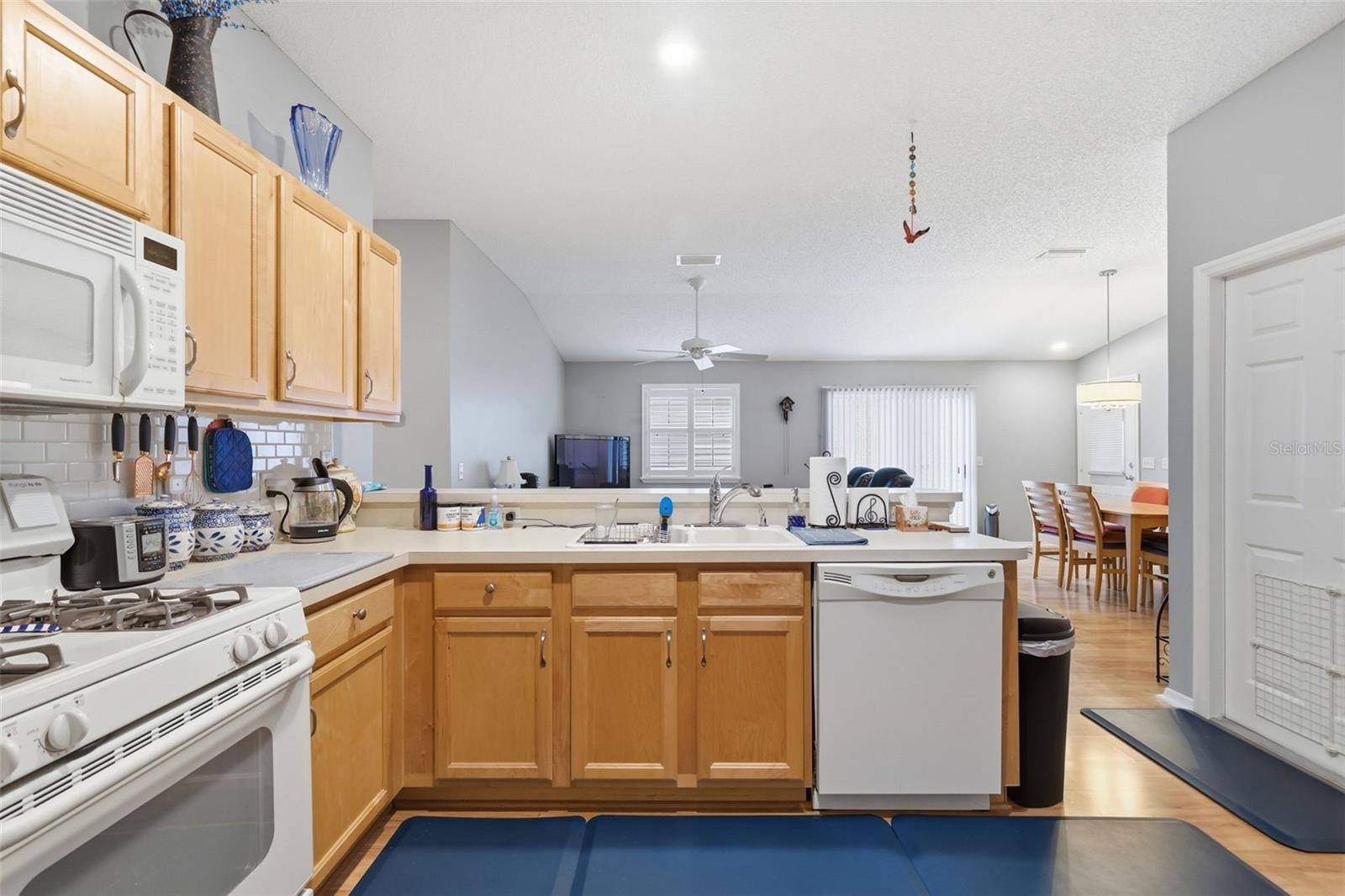 1639 ALLENDALE PLACE, THE VILLAGES, FL, 32162
