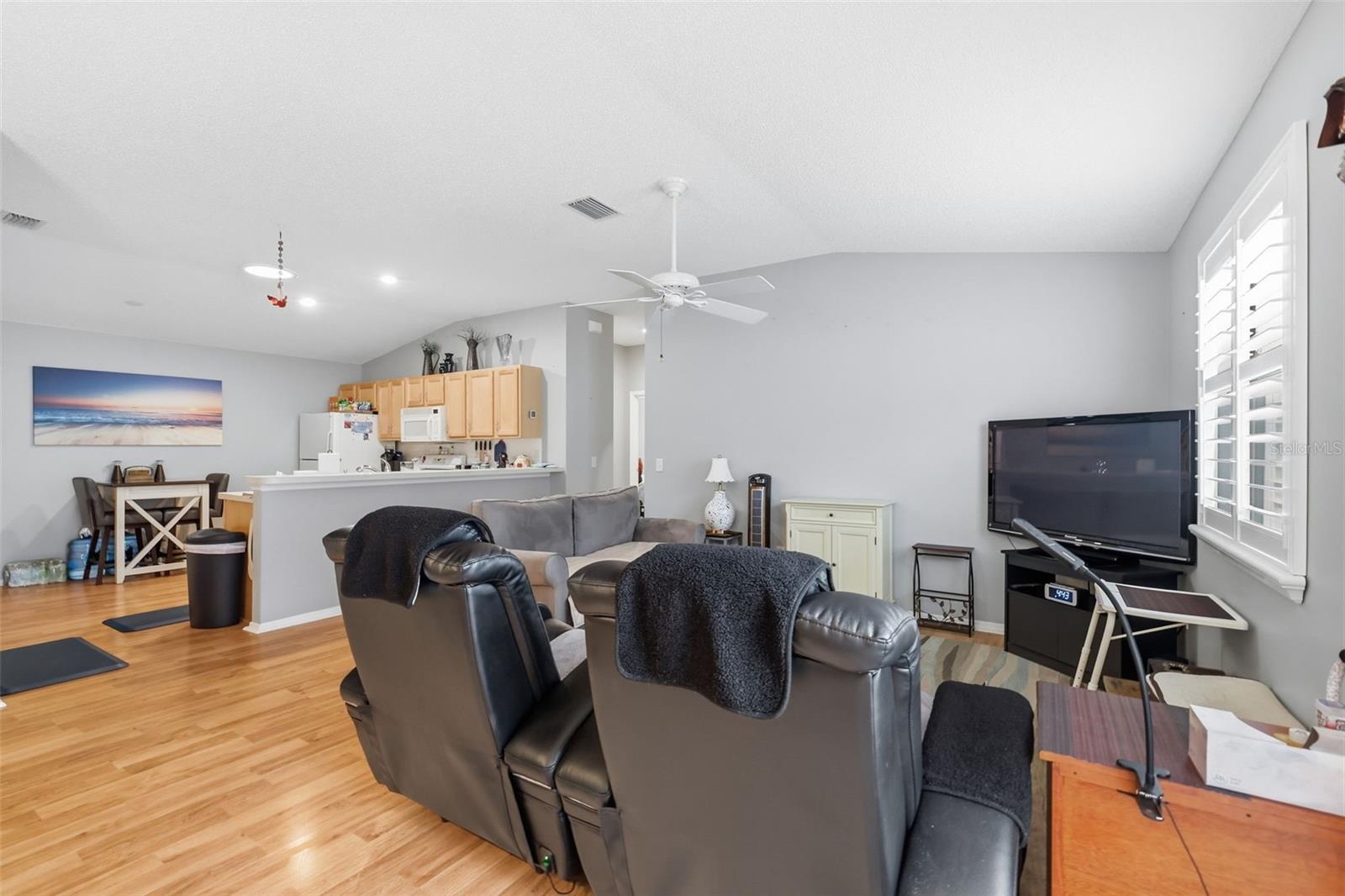 1639 ALLENDALE PLACE, THE VILLAGES, FL, 32162