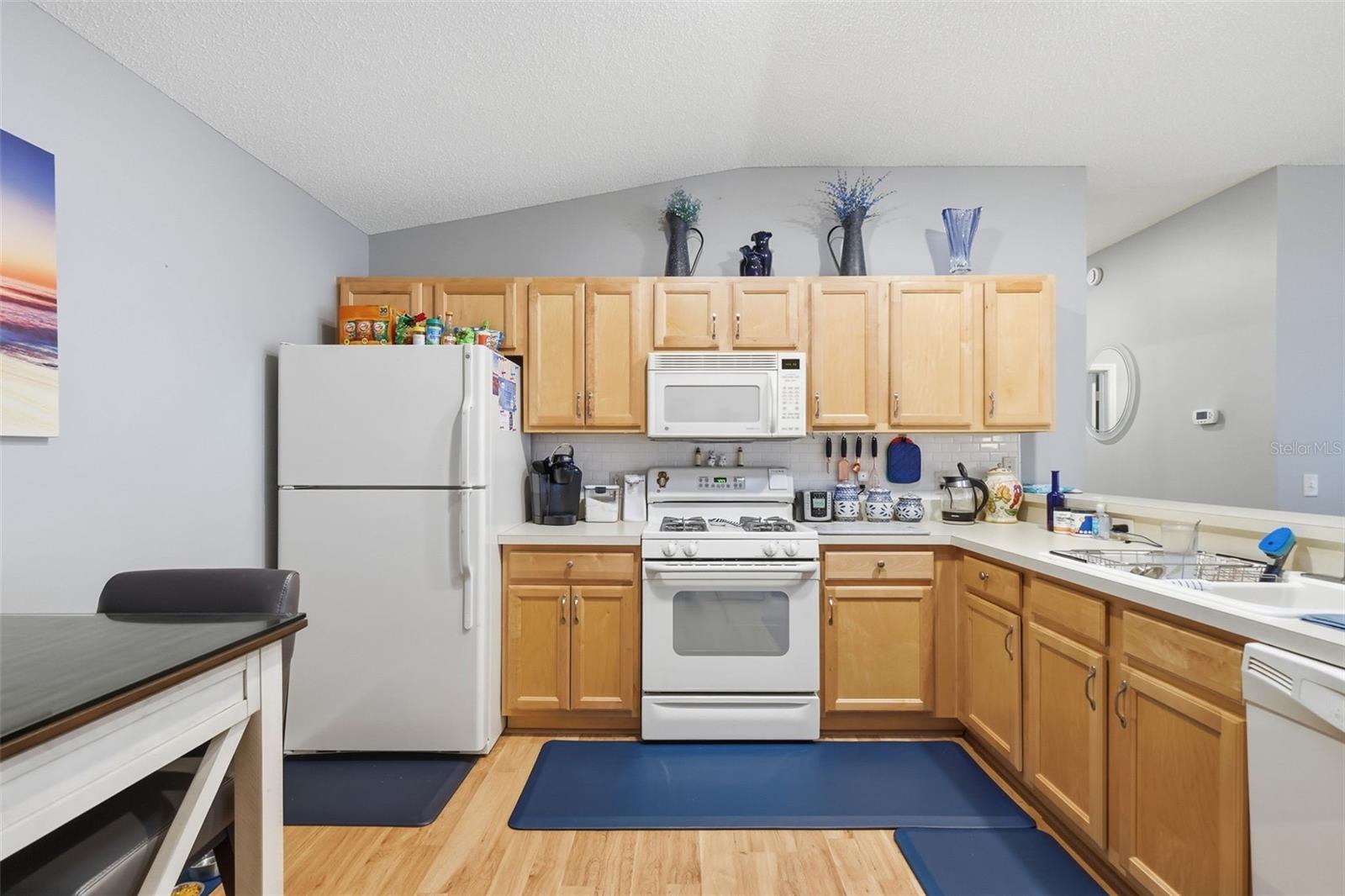 1639 ALLENDALE PLACE, THE VILLAGES, FL, 32162