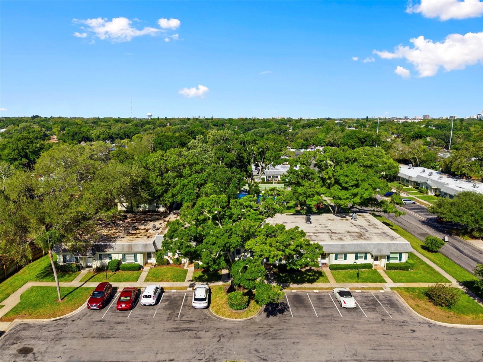 1449 NORMANDY PARK DR #5, CLEARWATER, FL, 33756