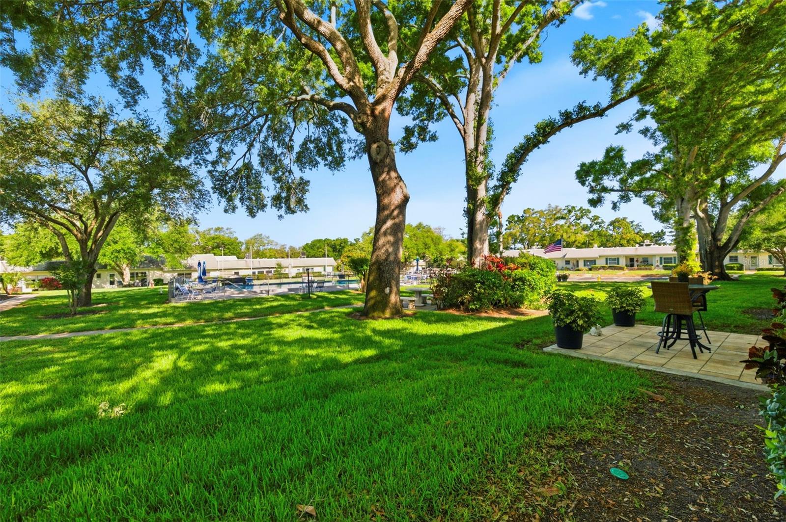 1449 NORMANDY PARK DR #5, CLEARWATER, FL, 33756