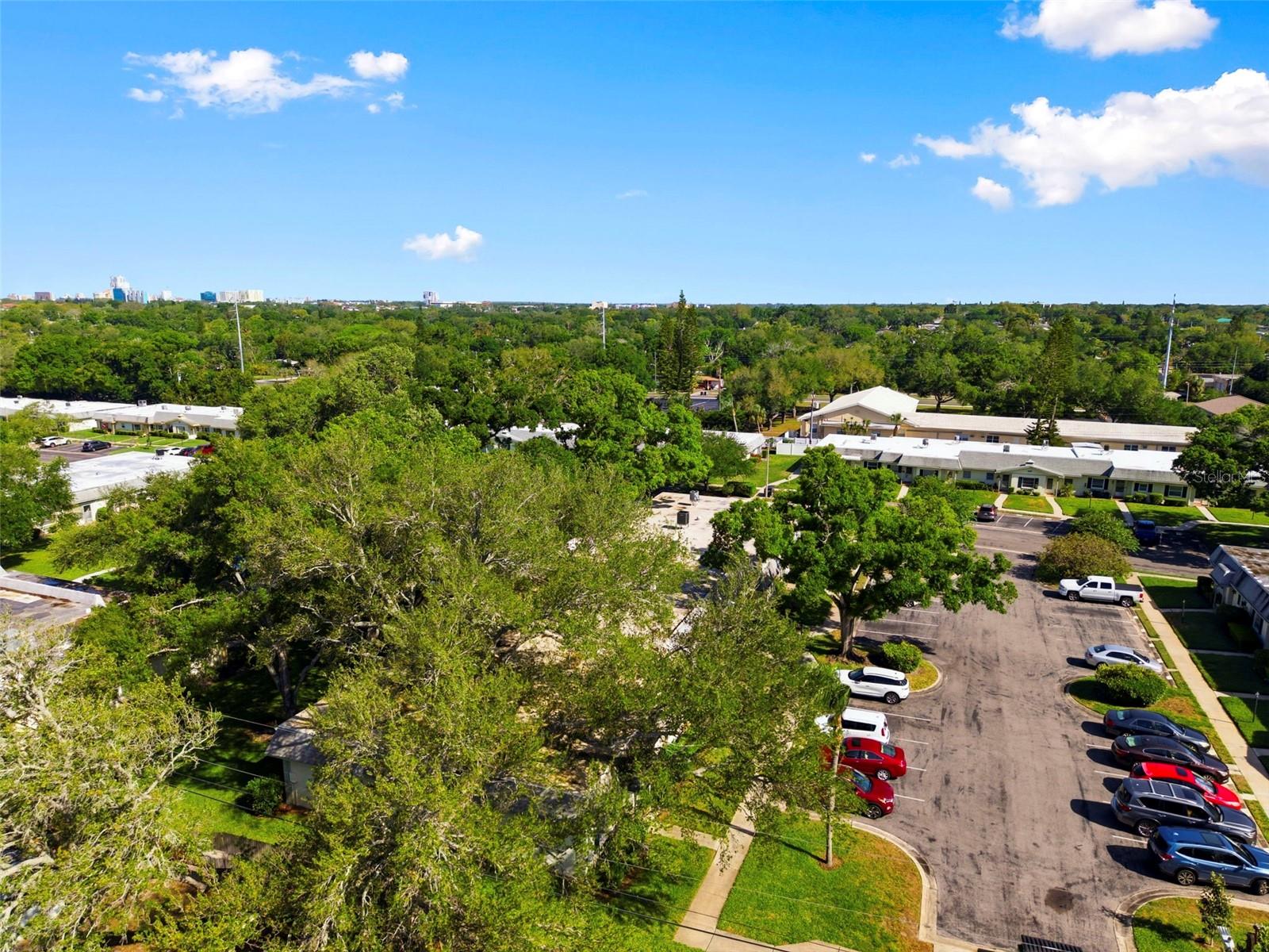 1449 NORMANDY PARK DR #5, CLEARWATER, FL, 33756