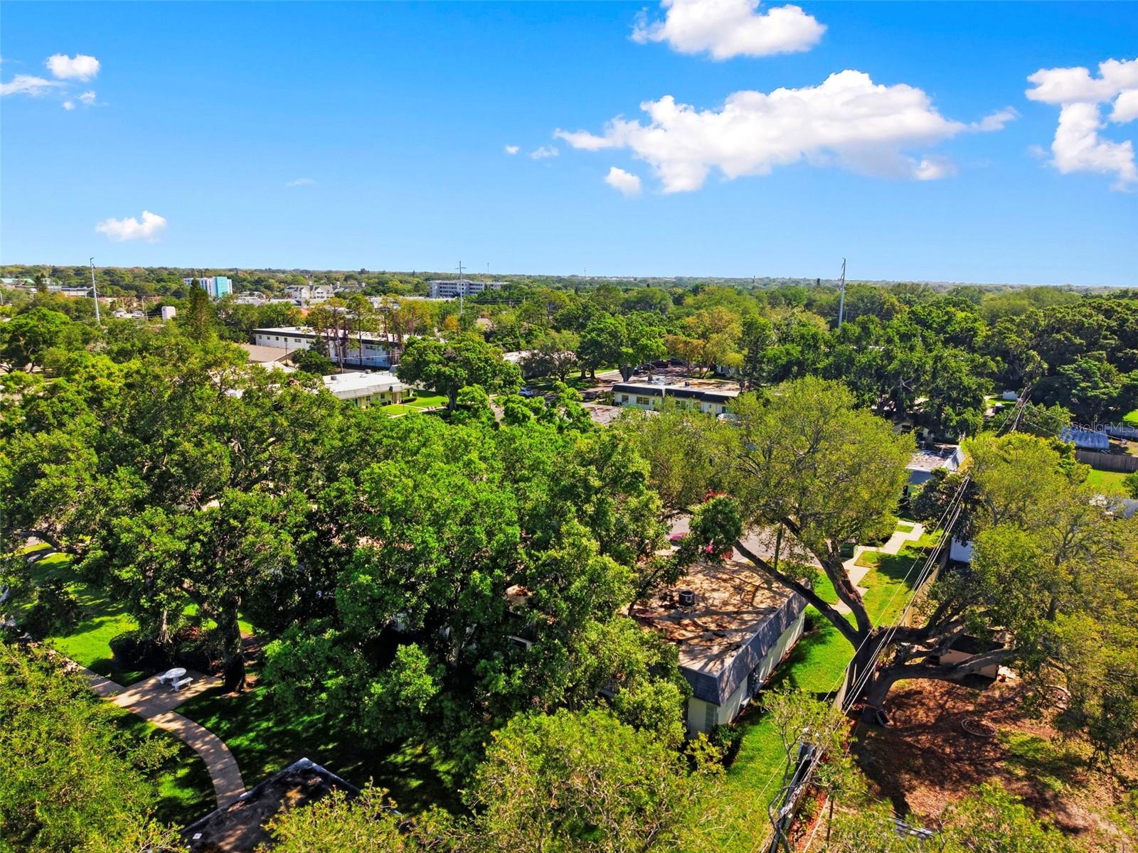 1449 NORMANDY PARK DR #5, CLEARWATER, FL, 33756