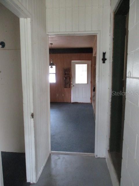 1335 ELRAY BLVD, MOUNT DORA, FL, 32757