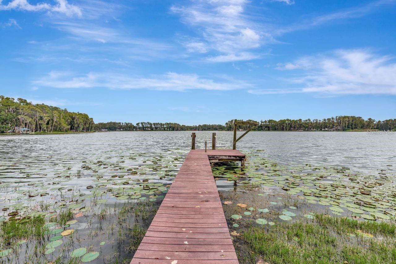 19207 CROOKED LN, LUTZ, FL, 33548