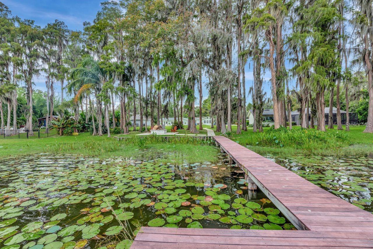19207 CROOKED LN, LUTZ, FL, 33548