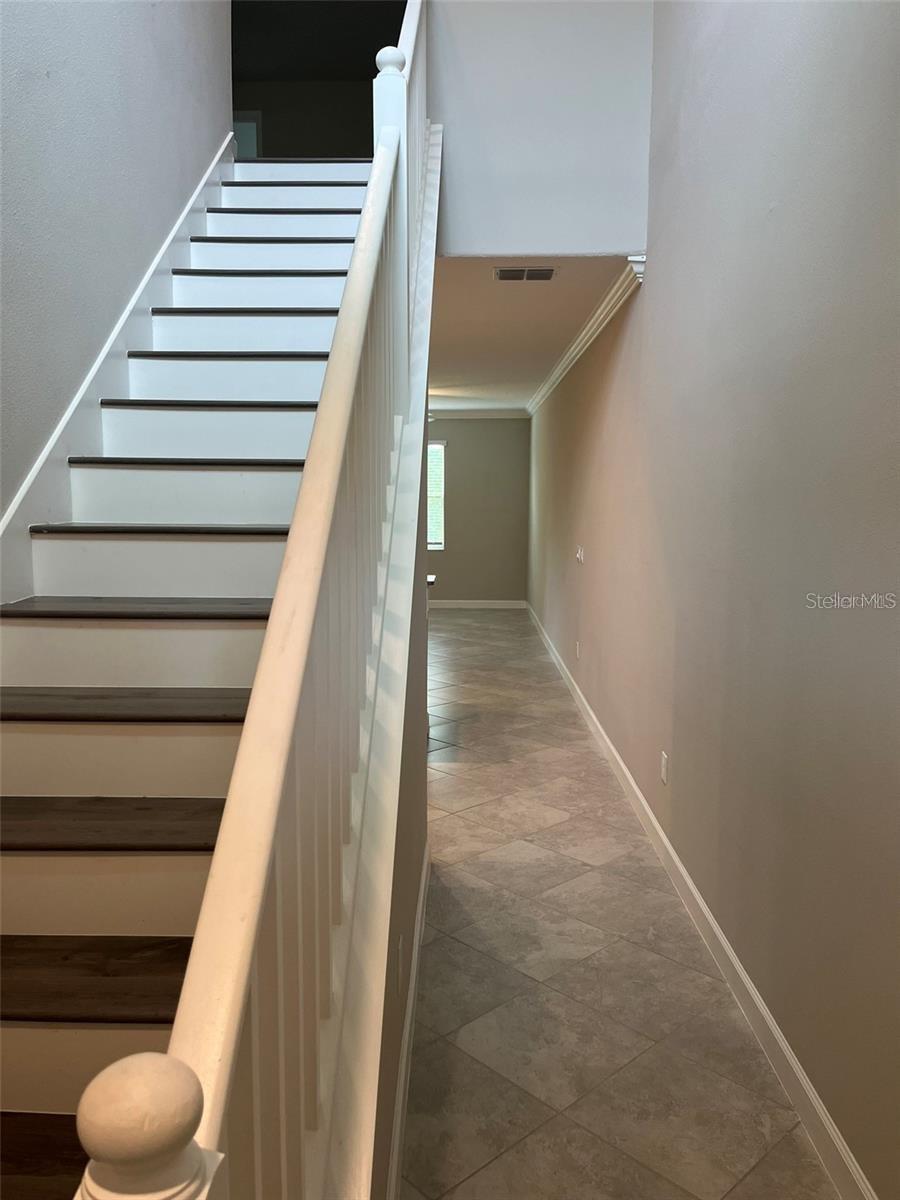 1712 ROSEVILLE ST, LUTZ, FL, 33549