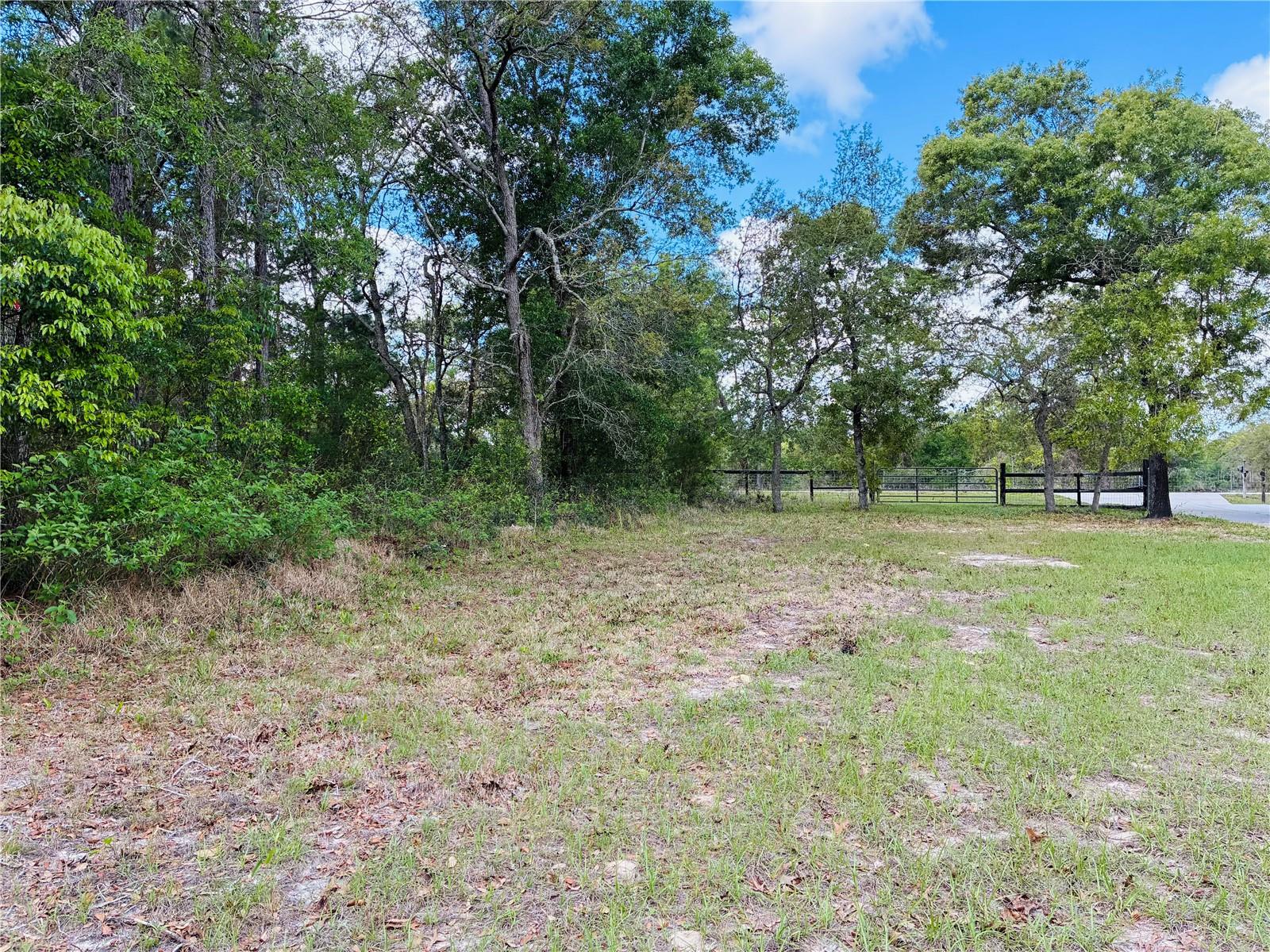 8390 LANGWORTHY DR, BROOKSVILLE, FL, 34613