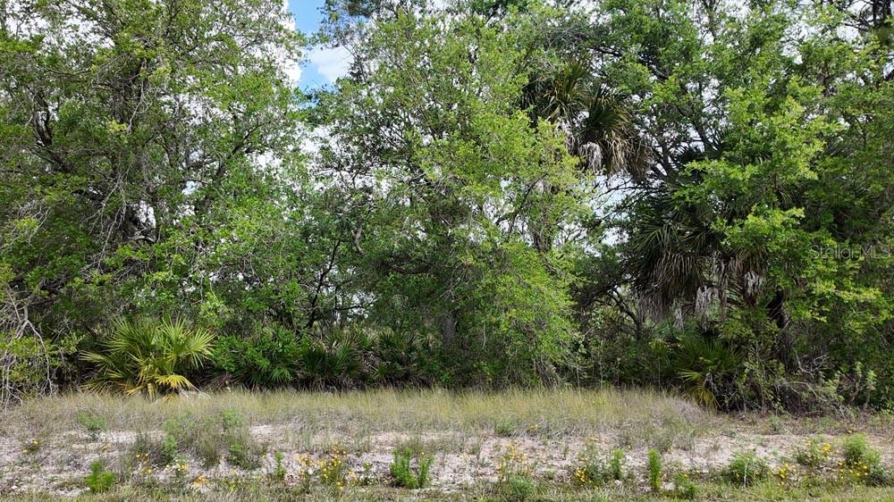 3104 51ST ST W, LEHIGH ACRES, FL, 33971