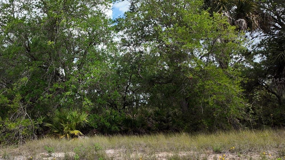 3104 51ST ST W, LEHIGH ACRES, FL, 33971