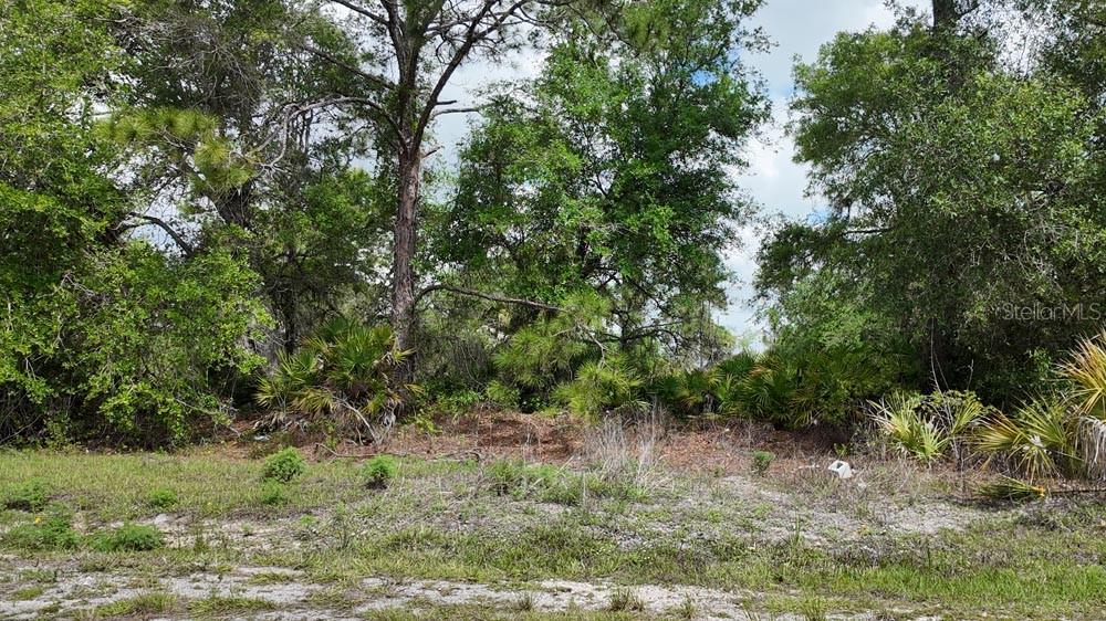 3104 51ST ST W, LEHIGH ACRES, FL, 33971