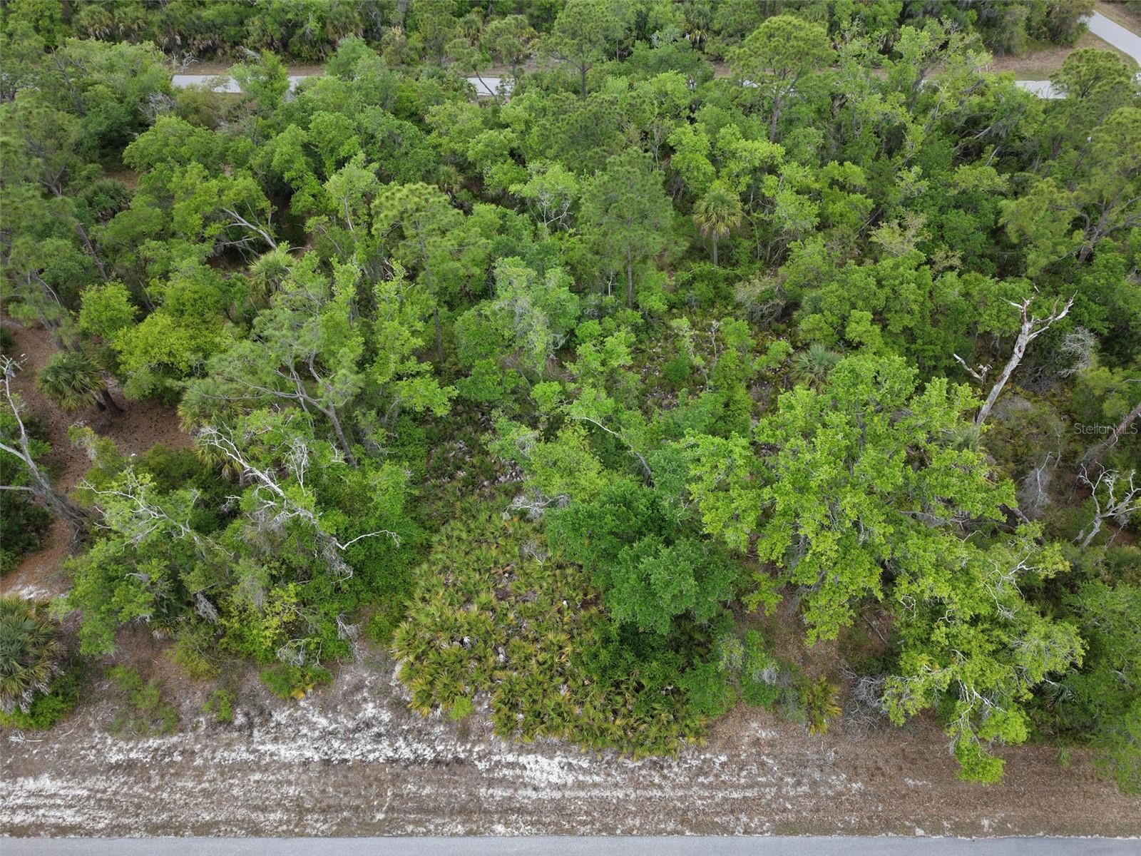 1249 CHRIS TER, PORT CHARLOTTE, FL, 33953