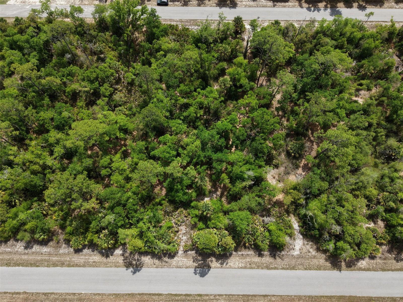 1249 CHRIS TER, PORT CHARLOTTE, FL, 33953