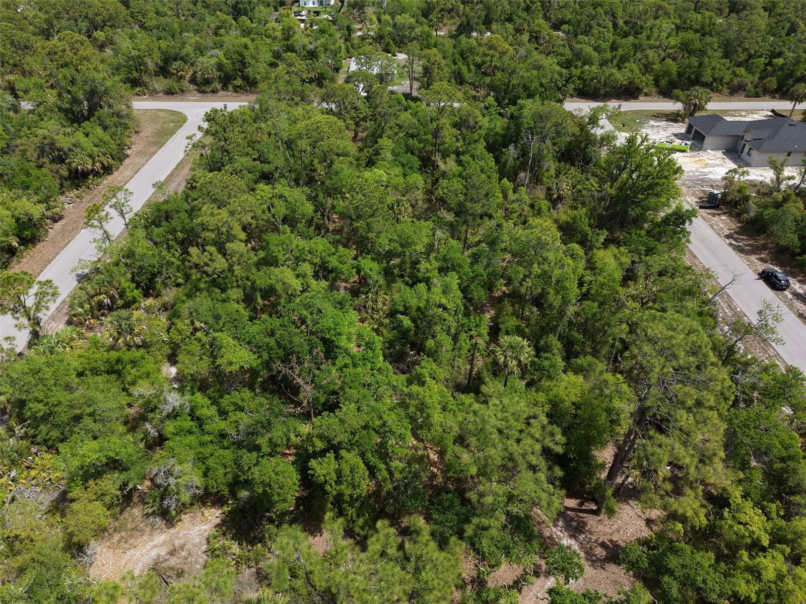 1249 CHRIS TER, PORT CHARLOTTE, FL, 33953