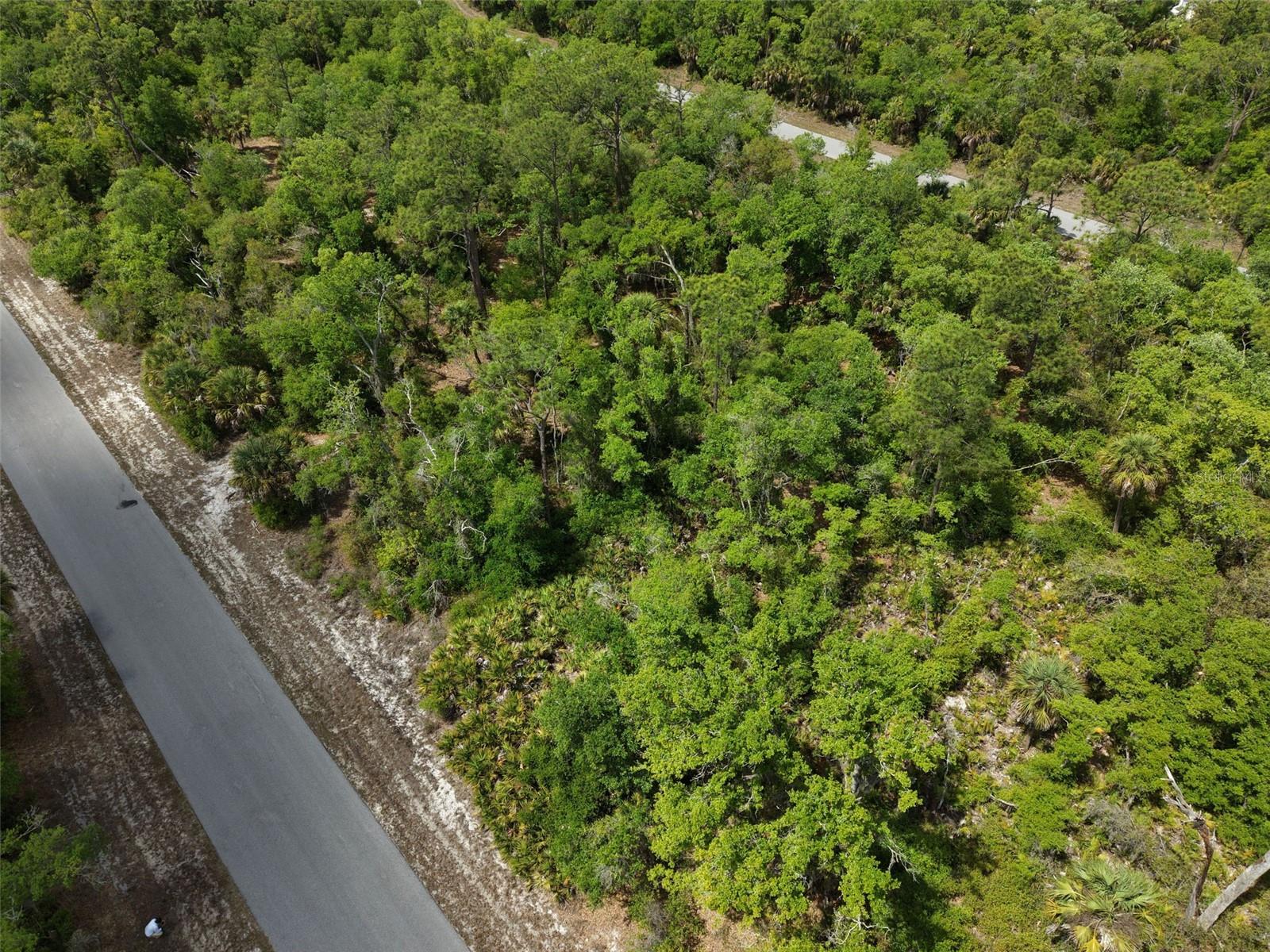 1249 CHRIS TER, PORT CHARLOTTE, FL, 33953