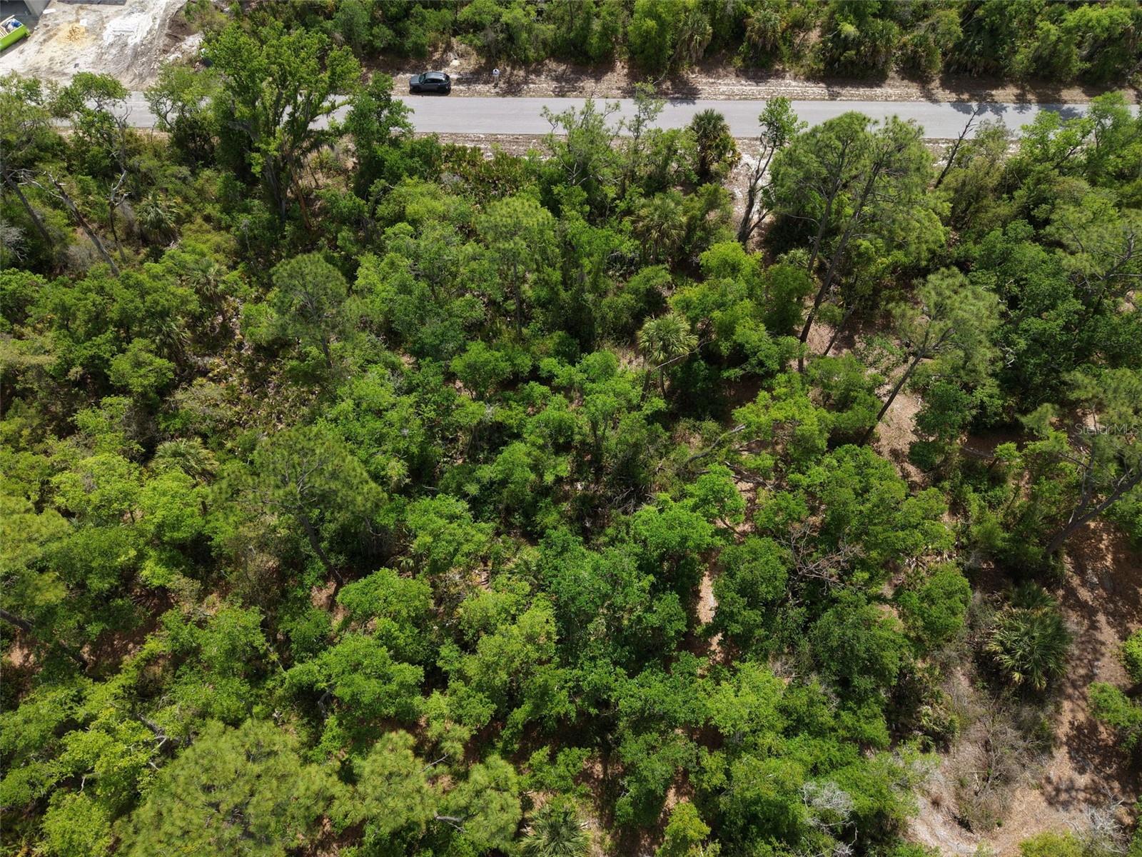 1249 CHRIS TER, PORT CHARLOTTE, FL, 33953