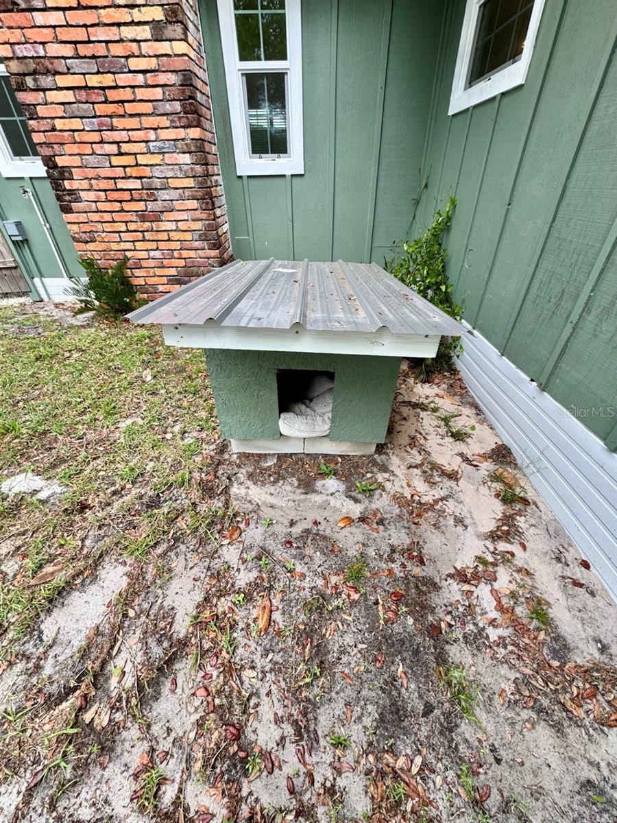 8575 NE 305TH AVE, SALT SPRINGS, FL, 32134